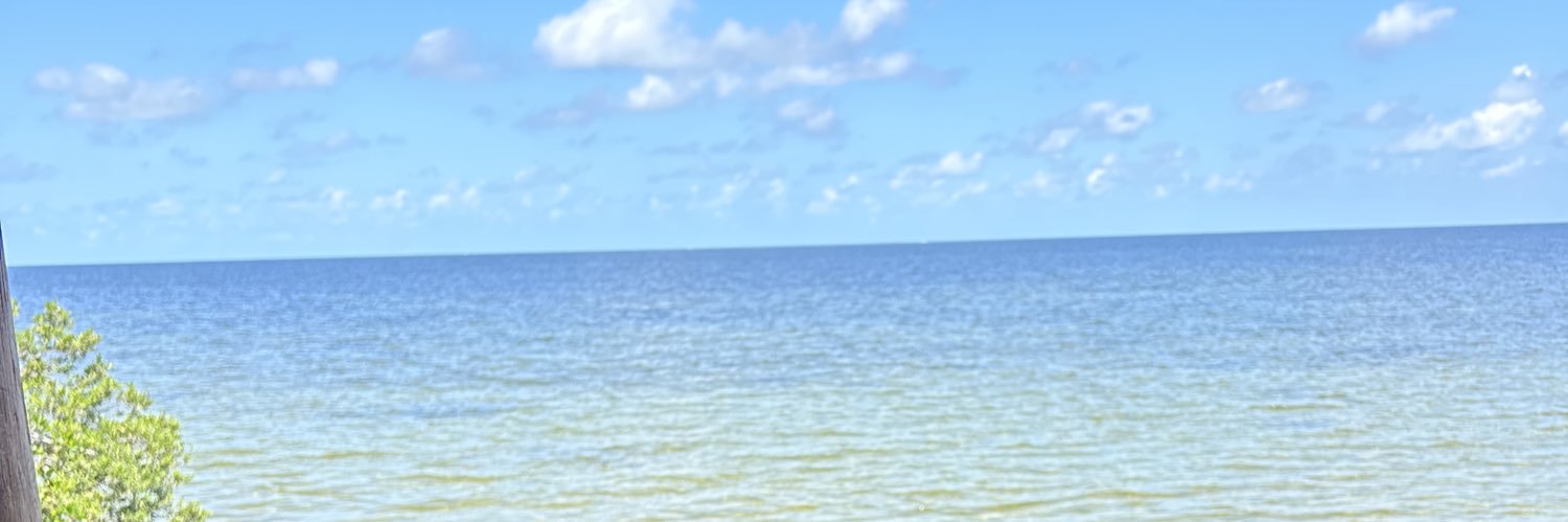 SwordOfMySpirit's profile banner image