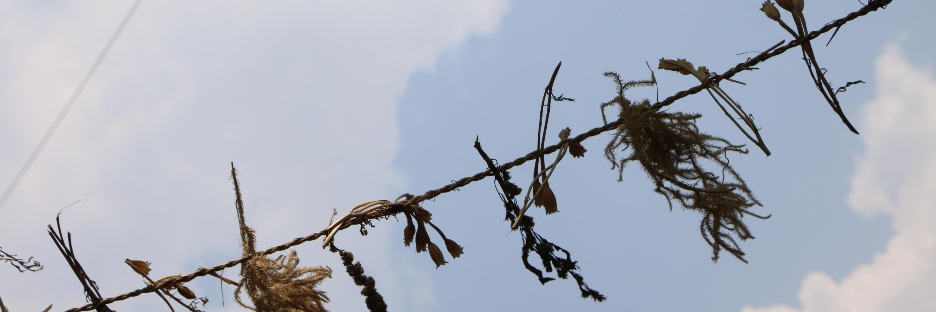 Matt Wood-Hill banner