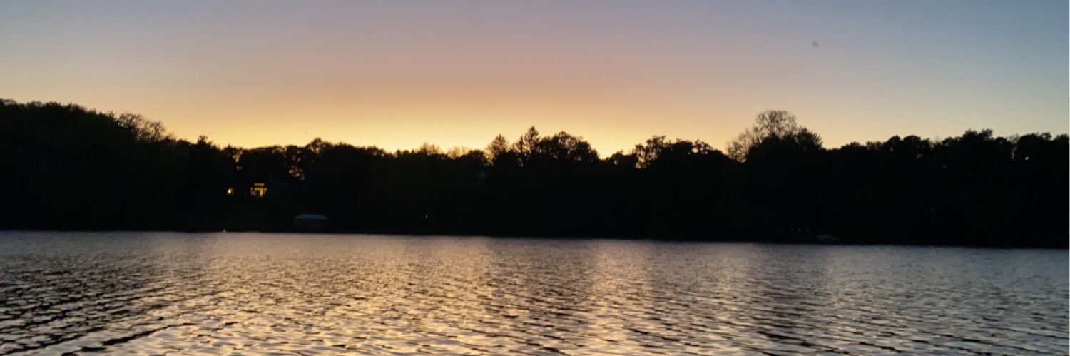 dcschuler_'s profile banner image