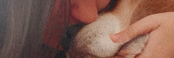 RooKolva's profile banner image