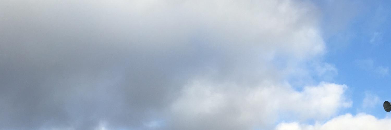 DaviF banner