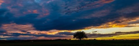 ThomasEngesser1's profile banner image