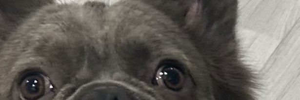 dayronciito's profile banner image