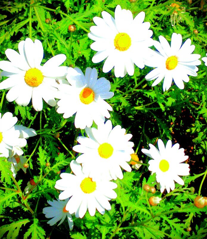 AnaBeln42's profile banner image