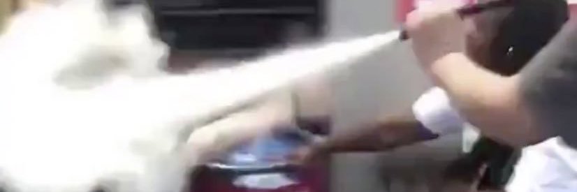 annoj_'s profile banner image