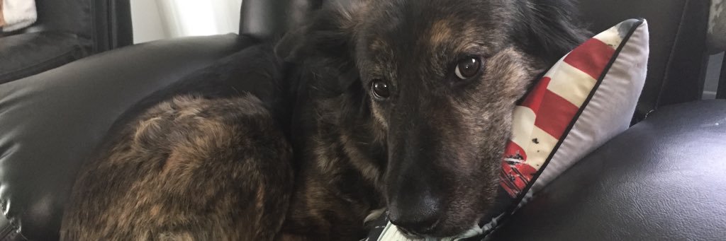 DeeBecker1's profile banner image