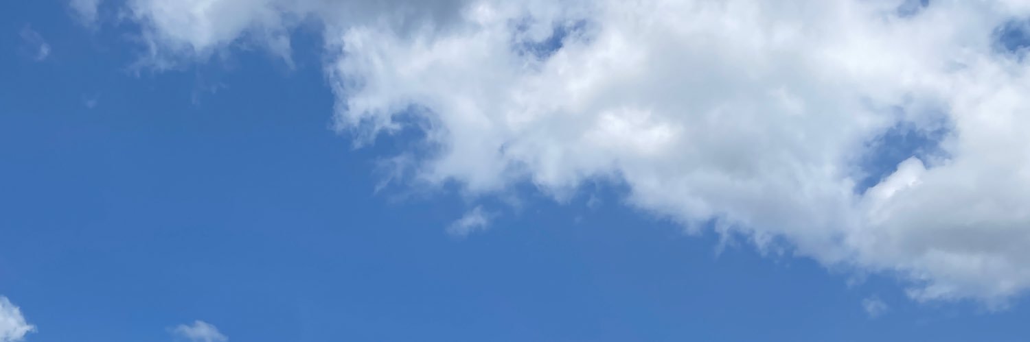 vxreen's profile banner image