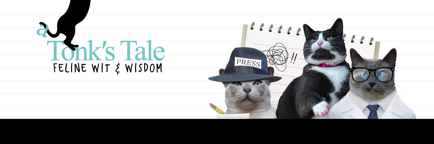 TonksTail's profile banner image