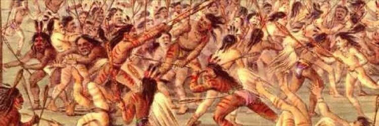 NOVA Lax Update banner