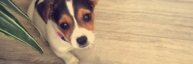 Joouce's profile banner image