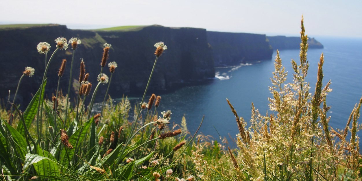 Chris Jamison banner