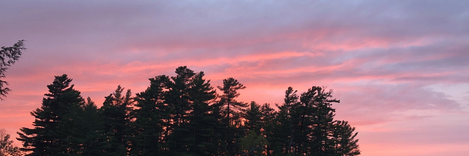 AcademicRealist's profile banner image