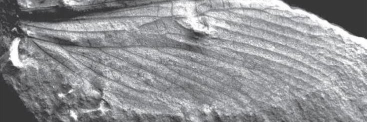HHGeoSoc's profile banner image