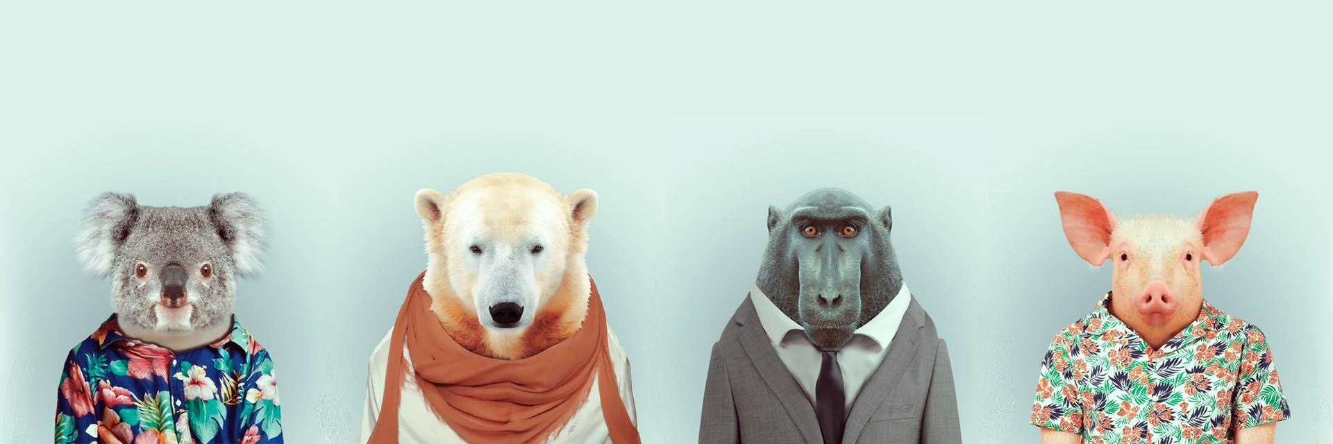 Gabe_Chacin's profile banner image