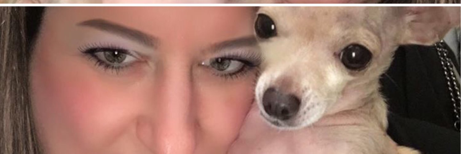 sarabravo72's profile banner image