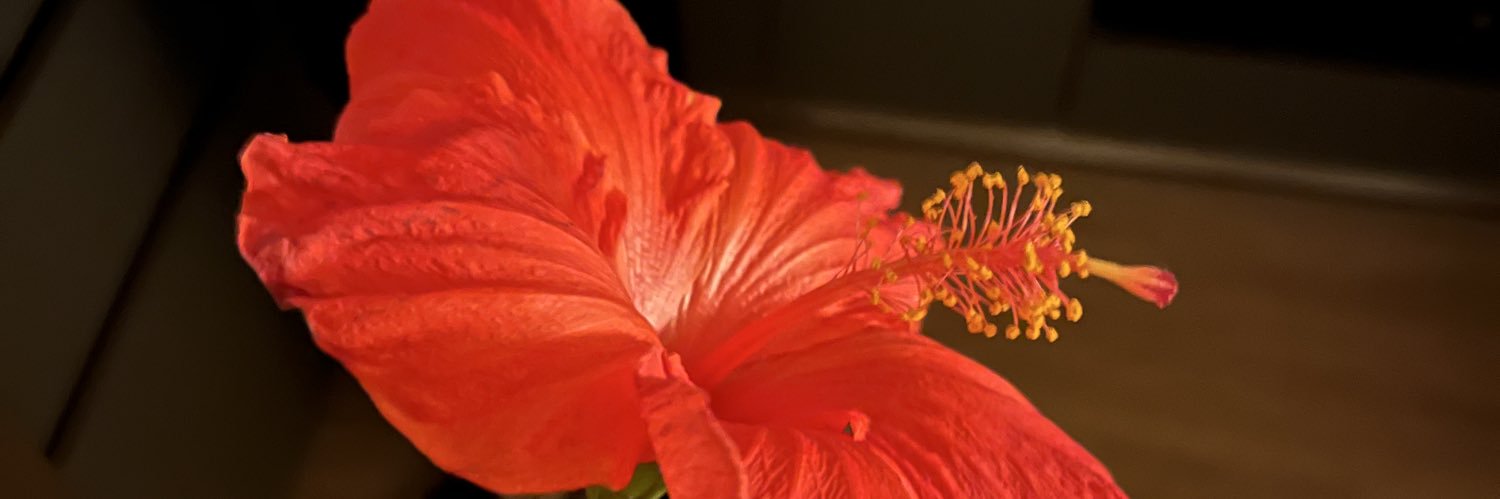 aaapz_'s profile banner image