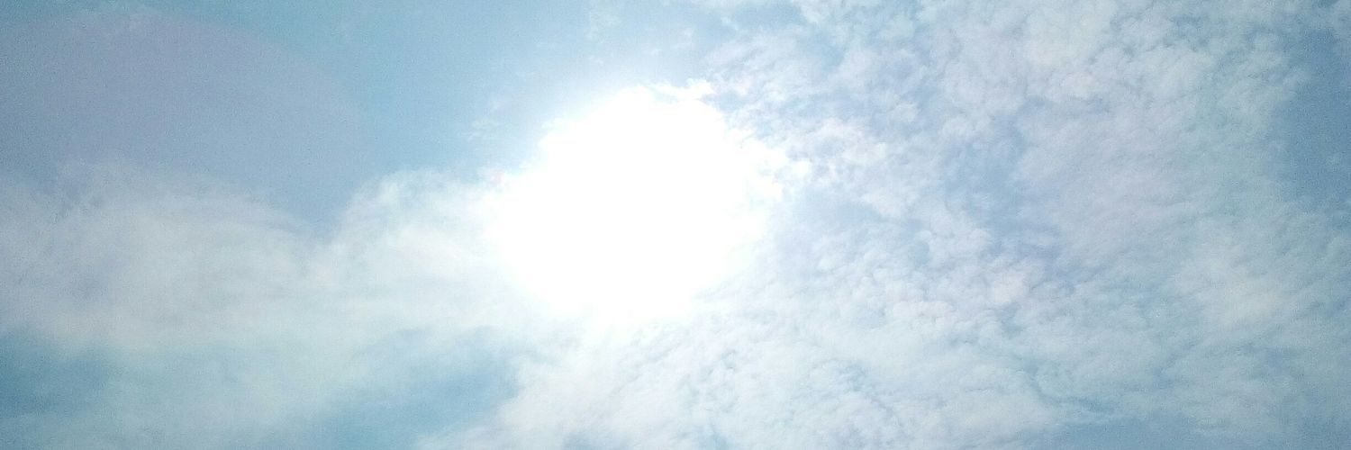LELIEVREK's profile banner image