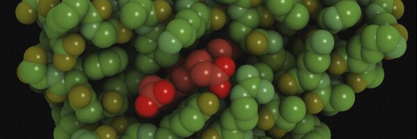 hmpdacc Profile Banner