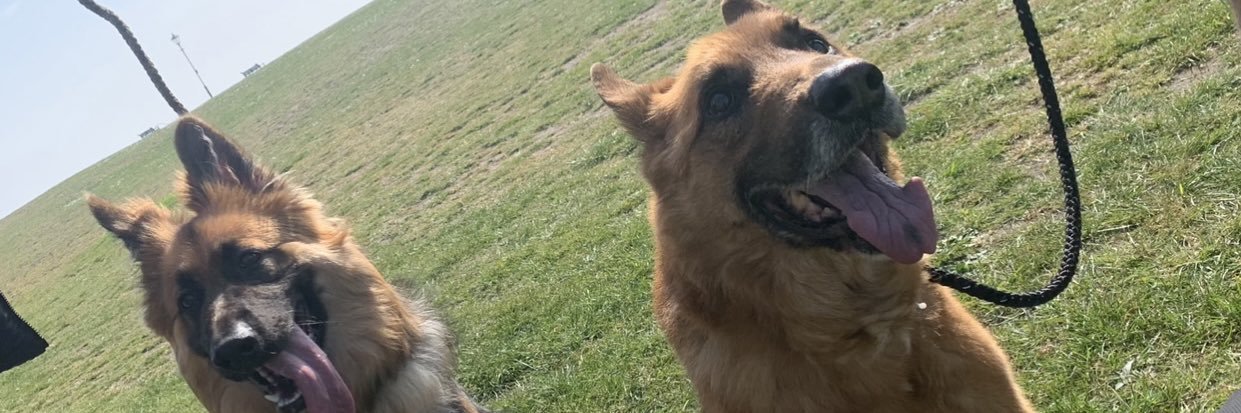 Keely-Ferrara banner