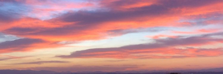 david morales banner