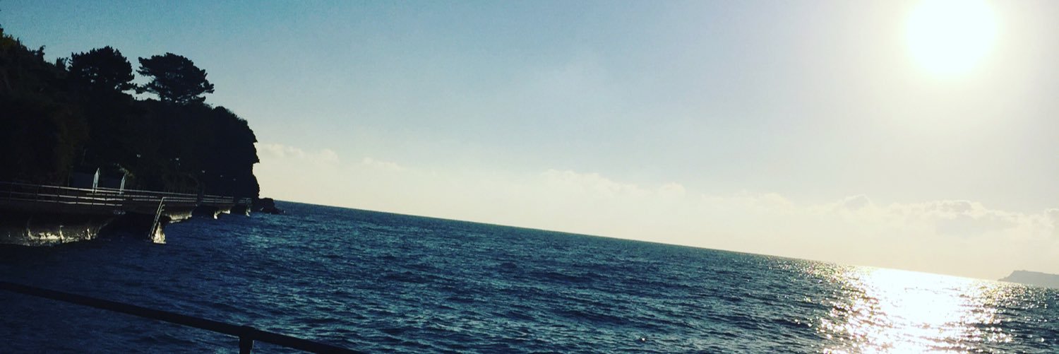 NicoleKGee's profile banner image