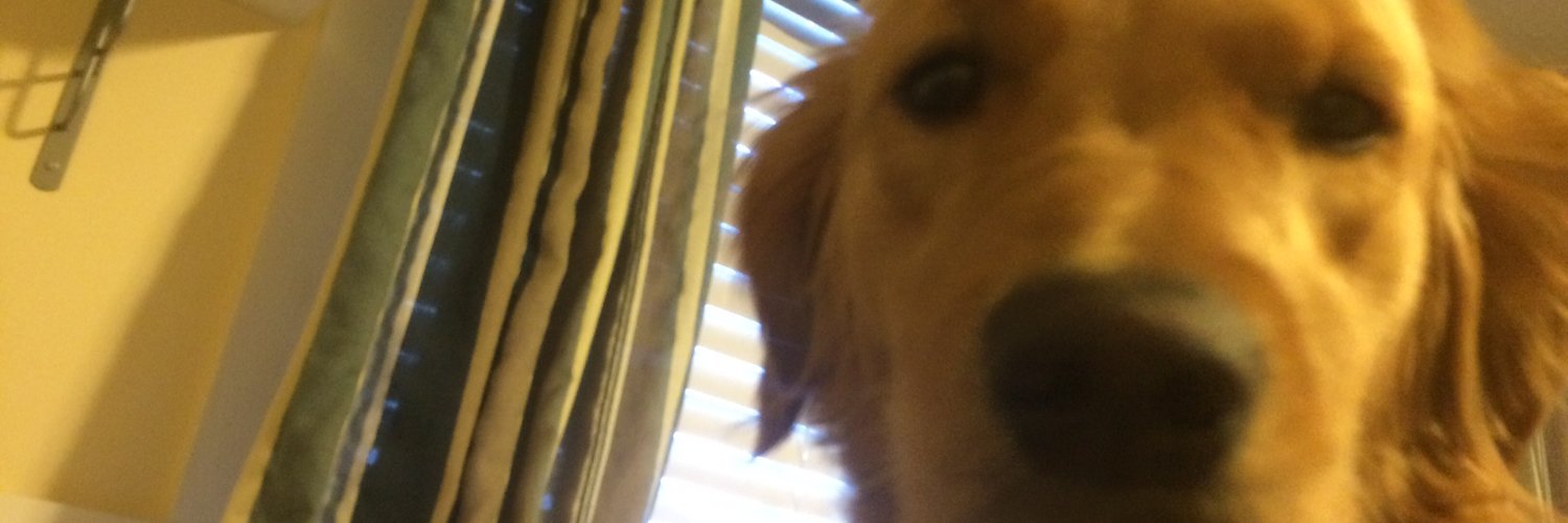 NotMattJack's profile banner image