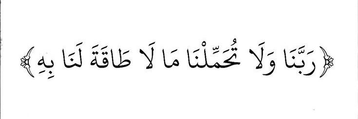 ayat_kasasbeh's profile banner image