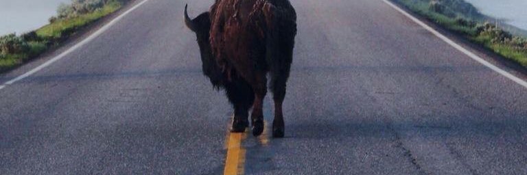 jonnythefirth banner