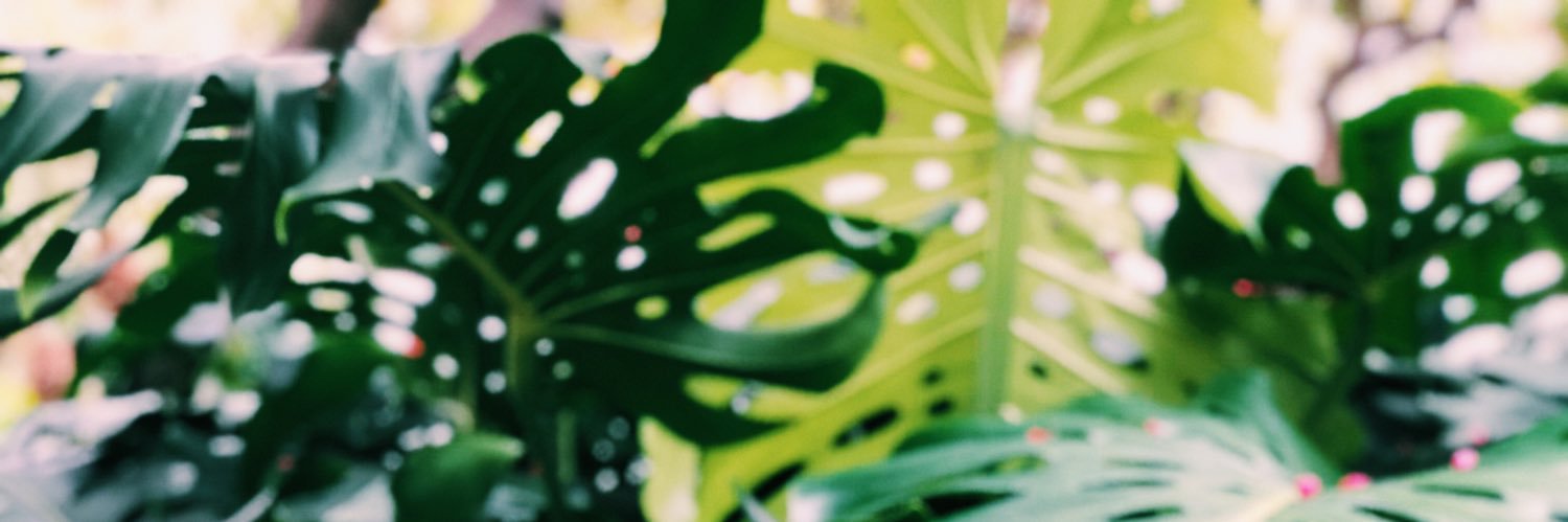 Alybakerr's profile banner image