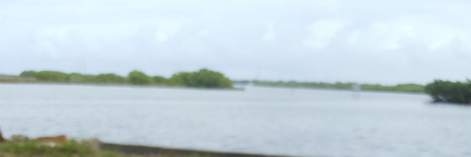 virtualworldly1's profile banner image