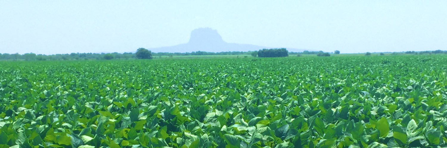 Edgar Castillo banner