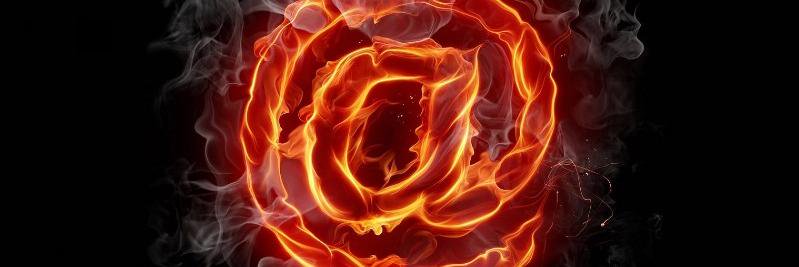 zhoraforewer1's profile banner image