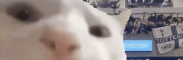 RT banner