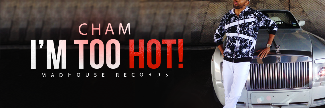 ChamTeam's profile banner image