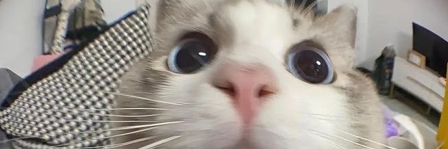 nickycidey's profile banner image