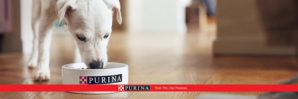 PurinaCanada Profile Banner