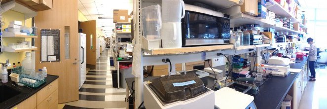 Eugene B Chang, MD banner