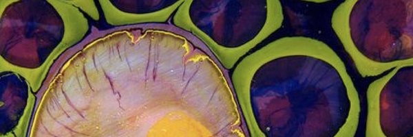 MorganLewis_ Profile Banner