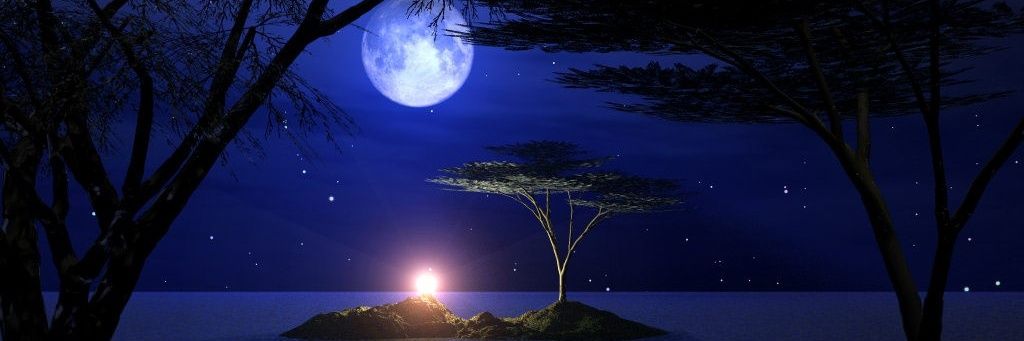 Sigma_1111111's profile banner image