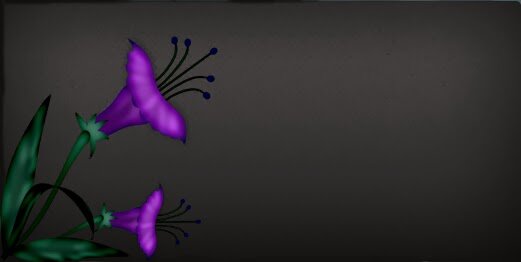 omrakanz's profile banner image