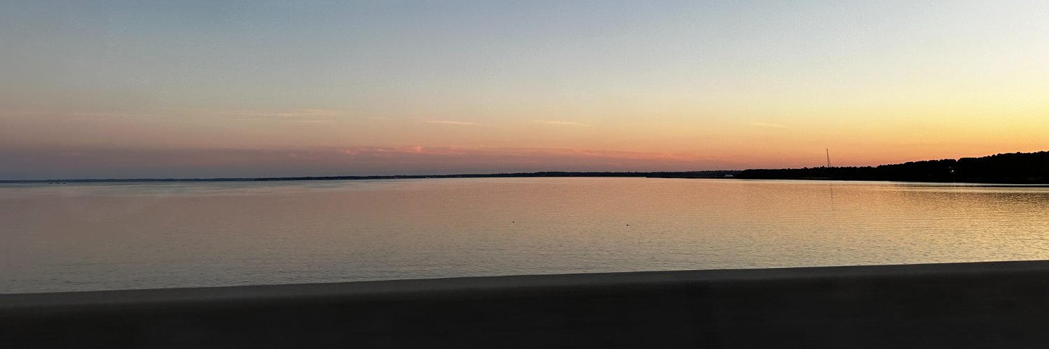 vaforest's profile banner image