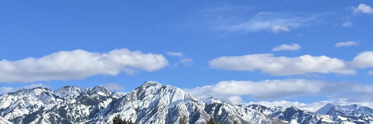 VaskaIII's profile banner image