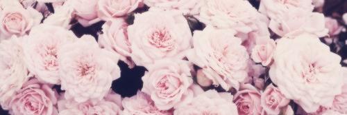 Laura_Sampson26's profile banner image