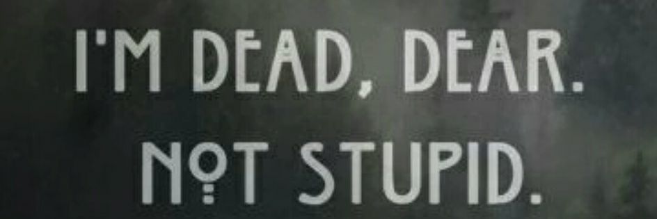 _love_ash_'s profile banner image