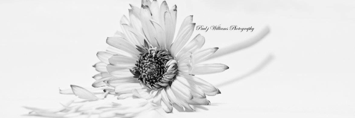 bushmills7d's profile banner image