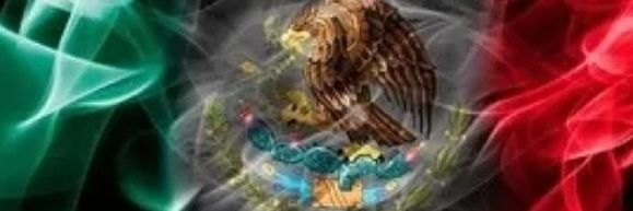 chavamigon's profile banner image
