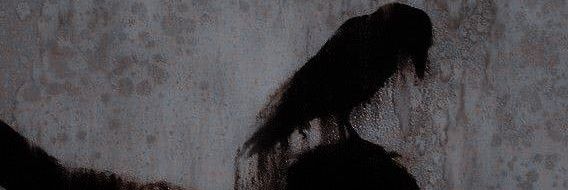 cryptidhusband's profile banner image