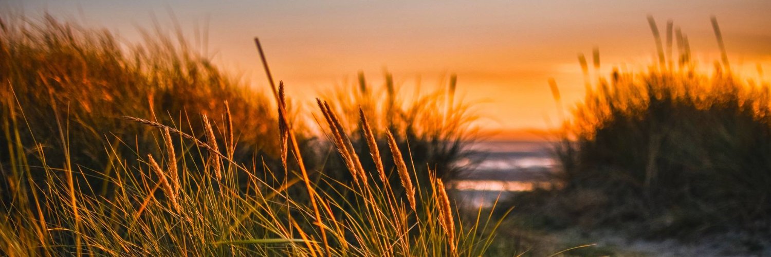 MButtTweets's profile banner image
