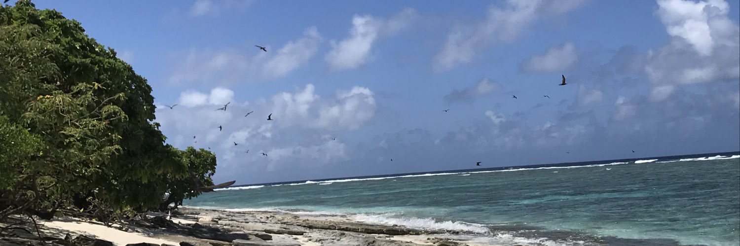 zenakatoa's profile banner image