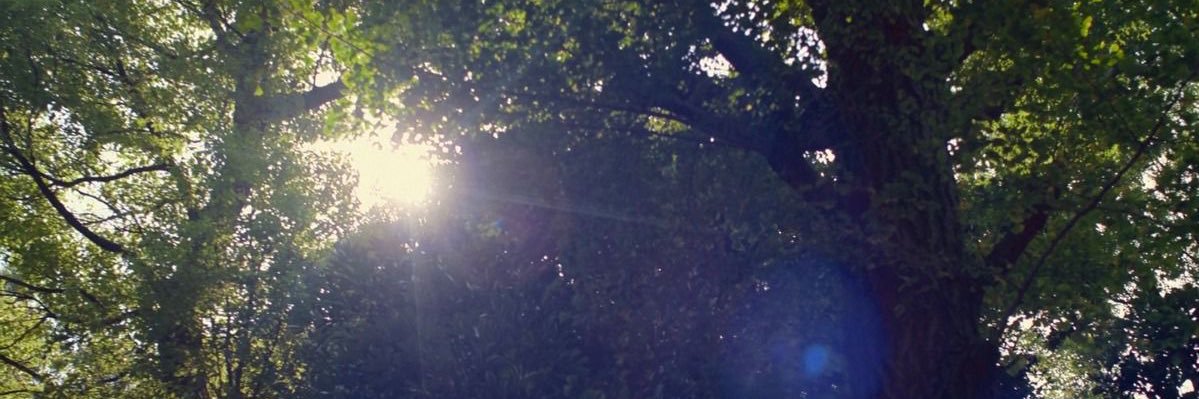 labalapssss's profile banner image